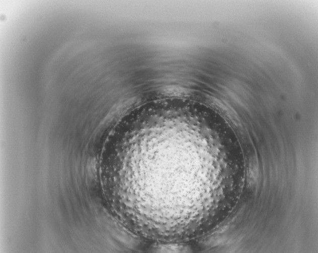 X0000087020473200704232004