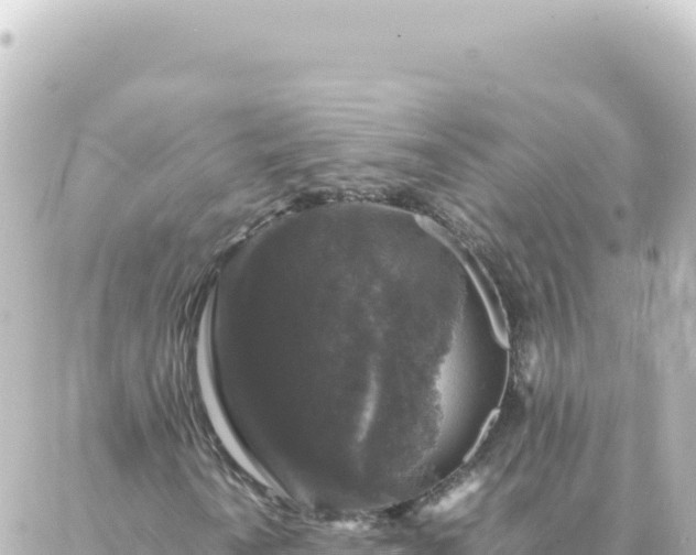 X0000087021010200704231954