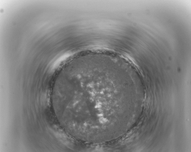 X0000087021016200704231954