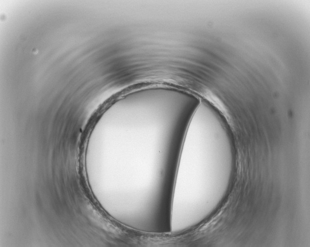 X0000087021020200704231954