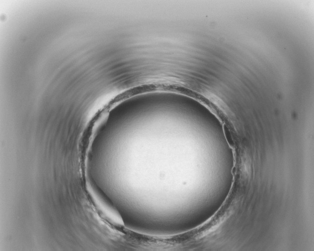 X0000087021022200704231954