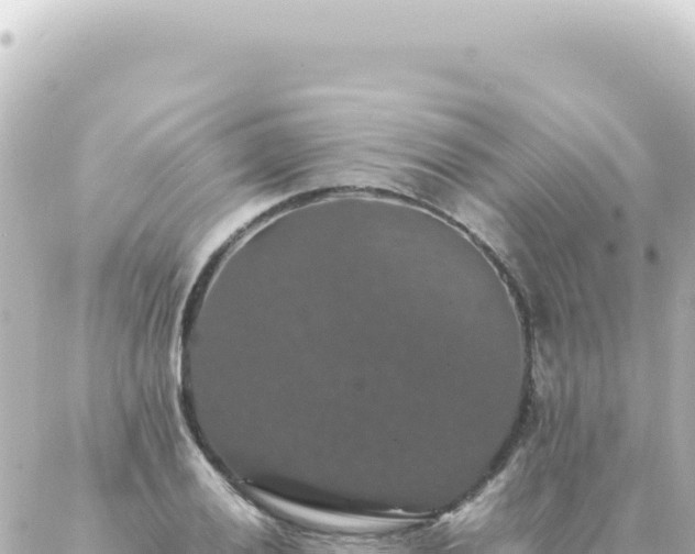 X0000087021028200704231954