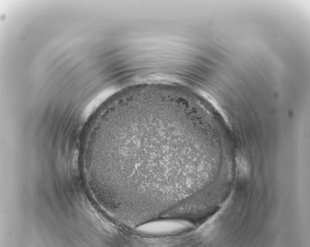 X0000087021066200704231954