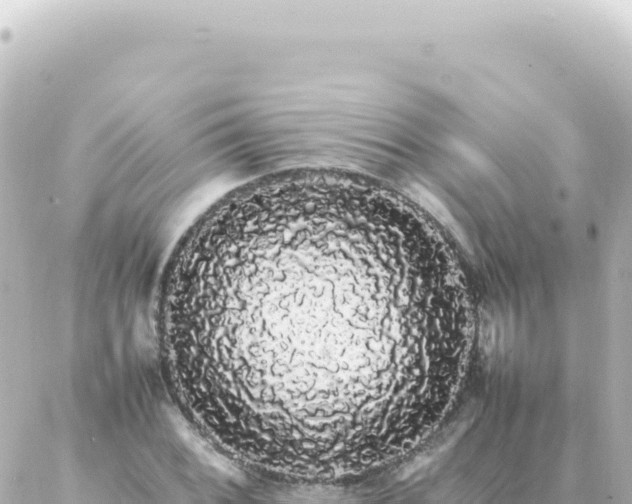 X0000087021068200704231954