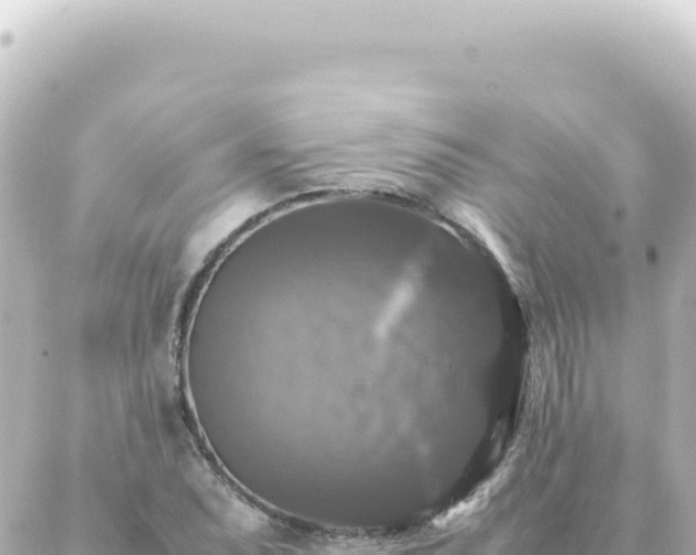 X0000087021071200704231954