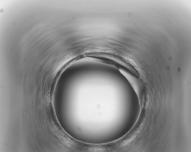 X0000087021073200704231954