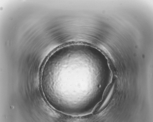 X0000087021076200704231954