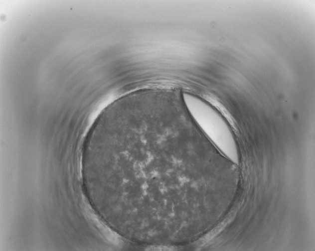 X0000087021083200704231954