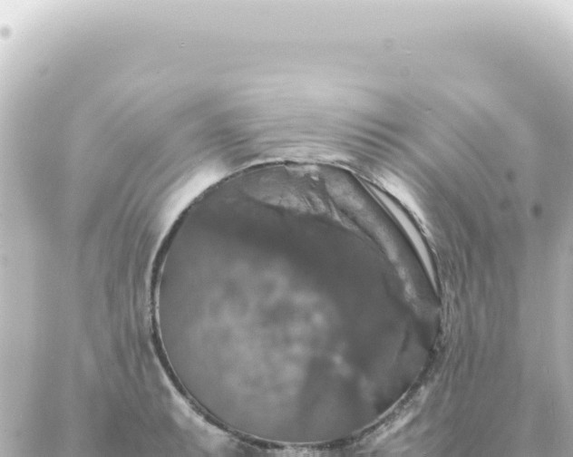 X0000087021087200704231954