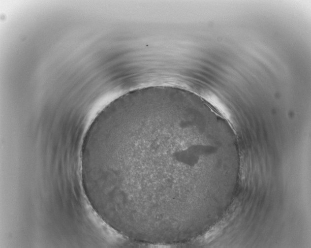 X0000087021088200704231954