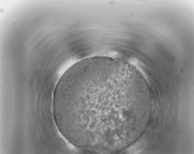 X0000087021103200704231953