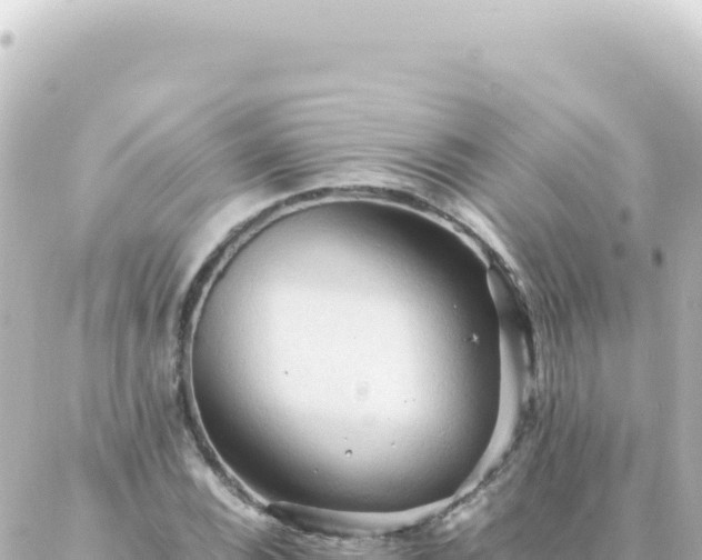 X0000087021116200704231953