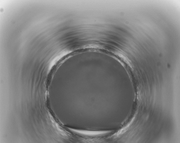 X0000087021117200704231953