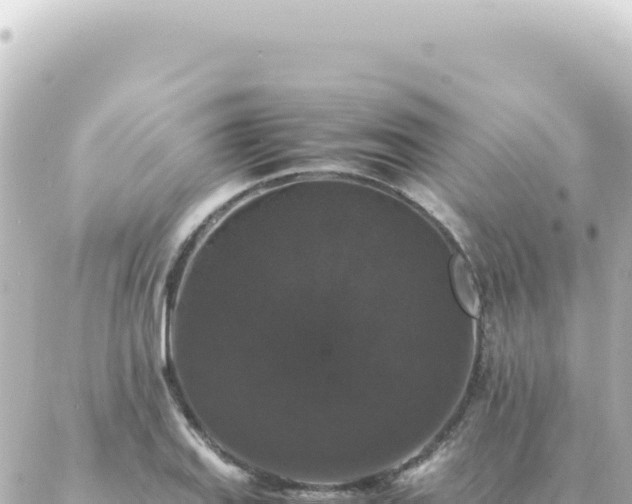 X0000087021127200704231953