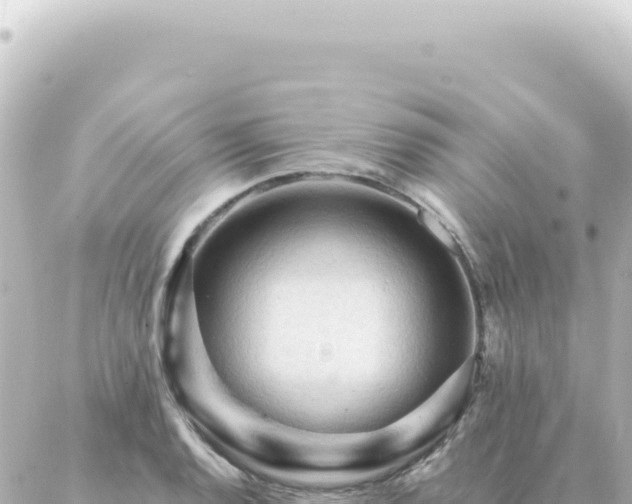 X0000087021128200704231953