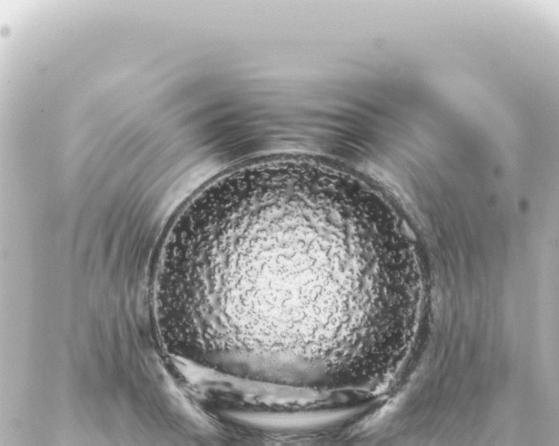 X0000087021129200704231953