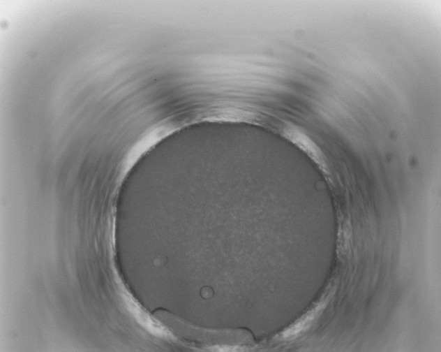 X0000087021130200704231953