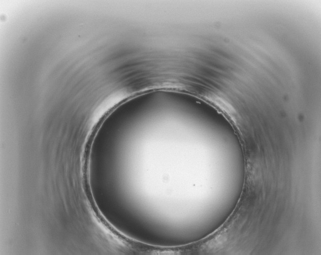 X0000087021135200704231953