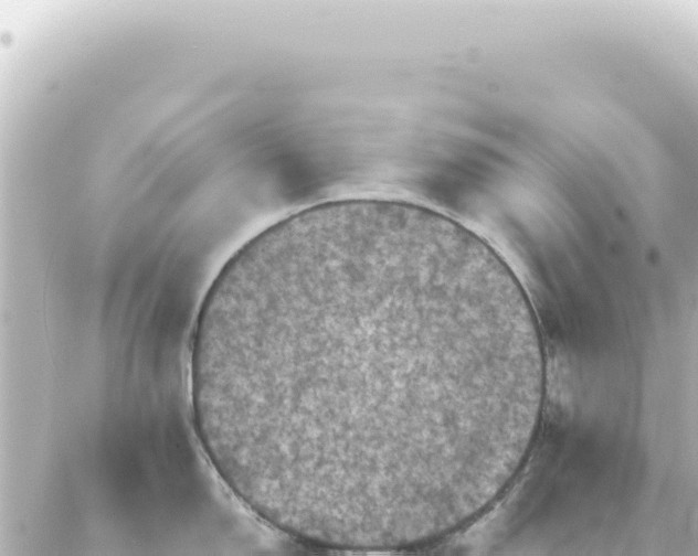 X0000087021150200704231953