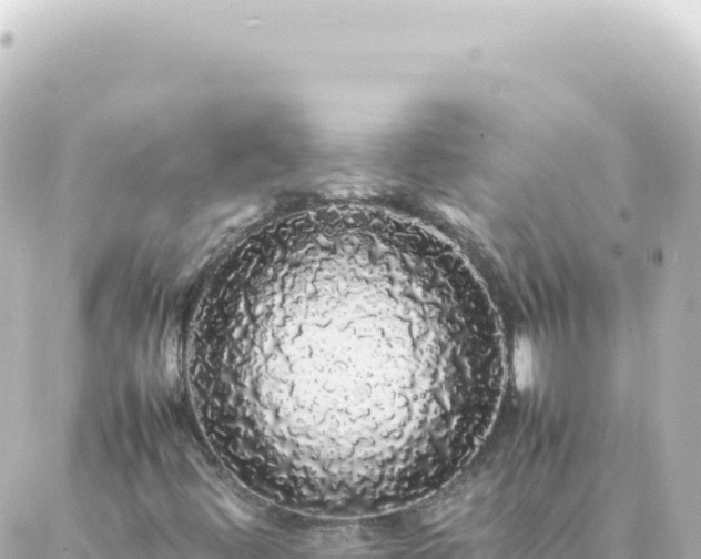 X0000087021444200704231948