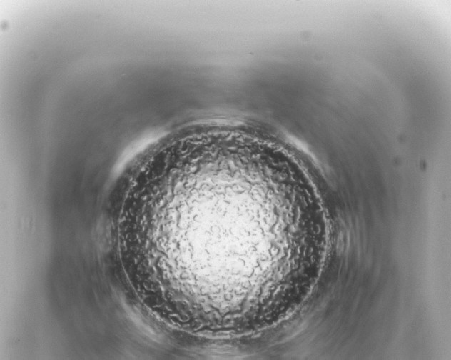 X0000087021448200704231948