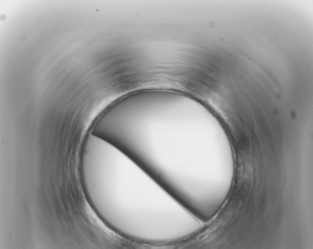 X0000087021468200704231947