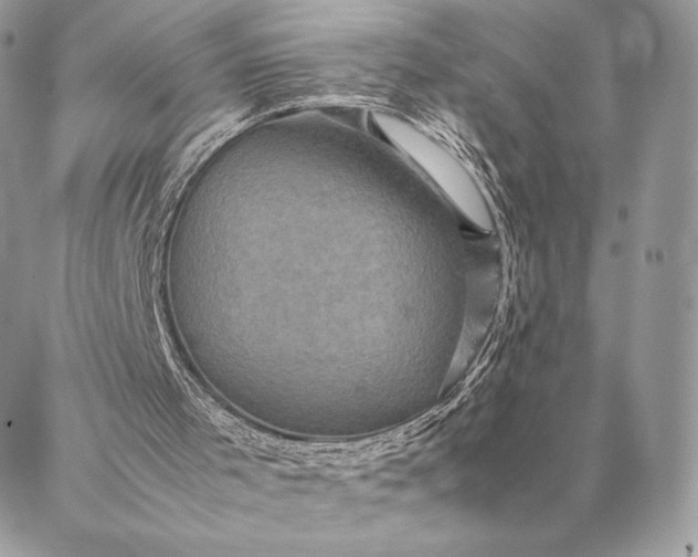 X0000087020001200704301326