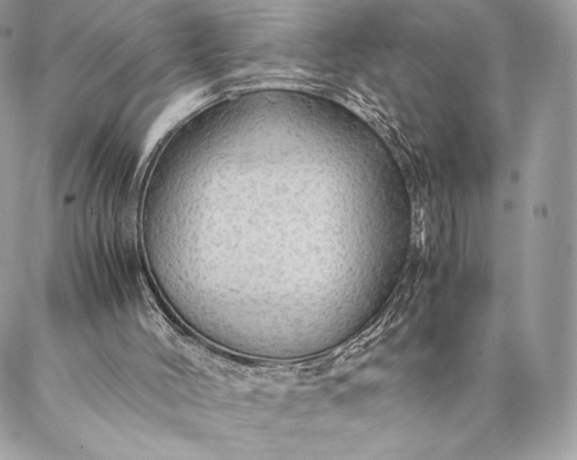 X0000087020004200704301326