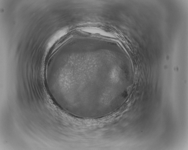 X0000087020006200704301326