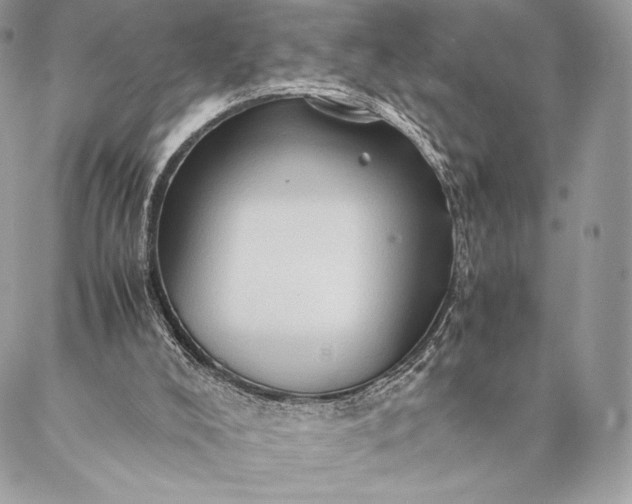 X0000087020008200704301326