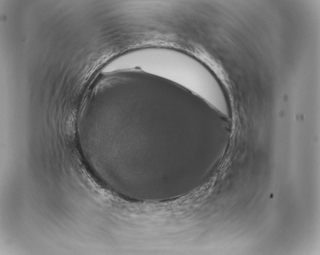 X0000087020009200704301326