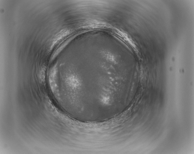 X0000087020010200704301326