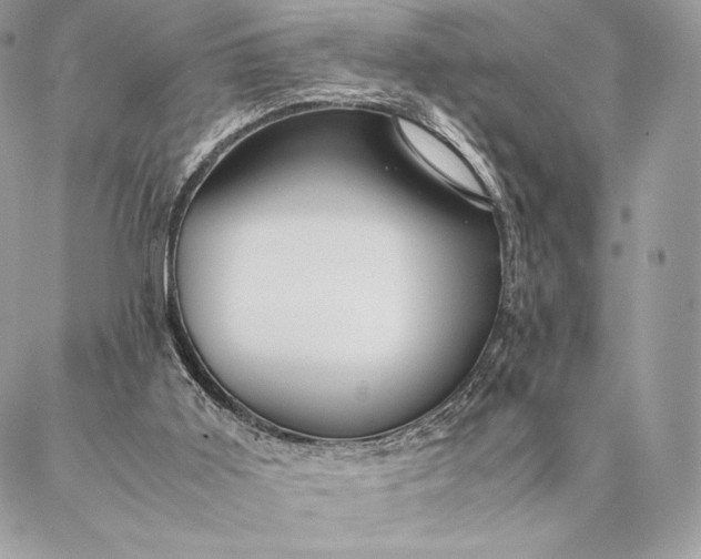 X0000087020011200704301326