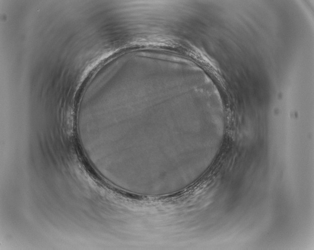 X0000087020012200704301326