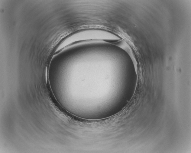 X0000087020013200704301326