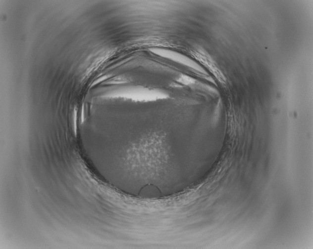 X0000087020014200704301326