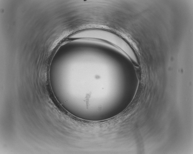 X0000087020015200704301326