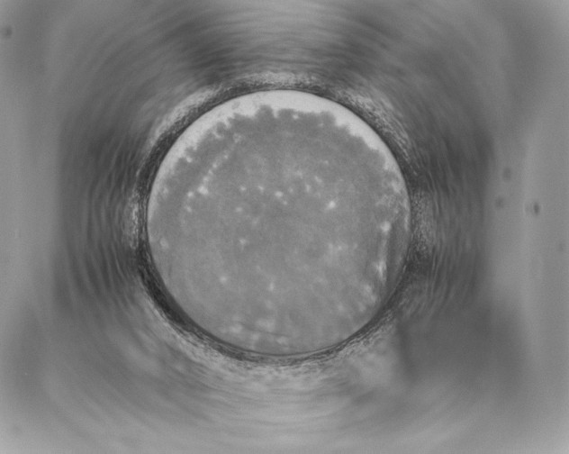 X0000087020016200704301326