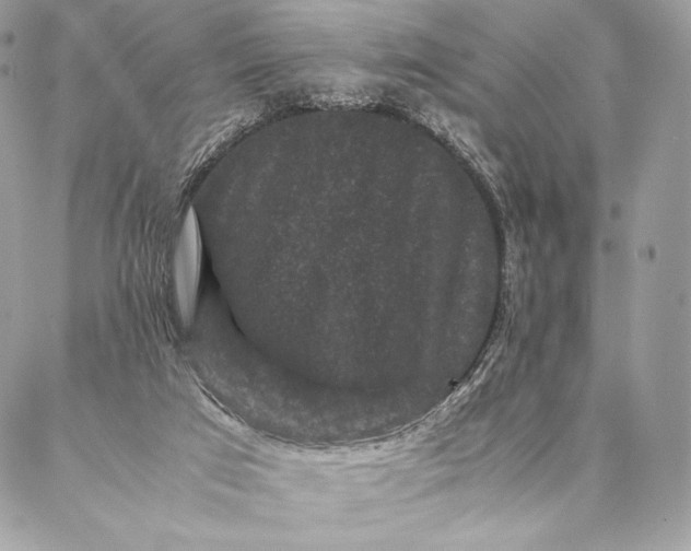 X0000087020017200704301326