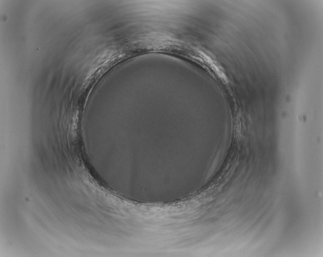 X0000087020018200704301325