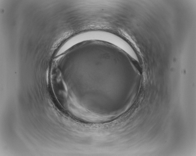 X0000087020019200704301325