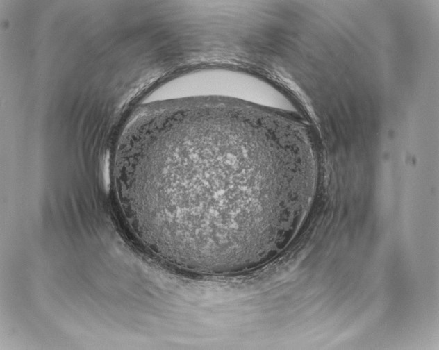 X0000087020020200704301325