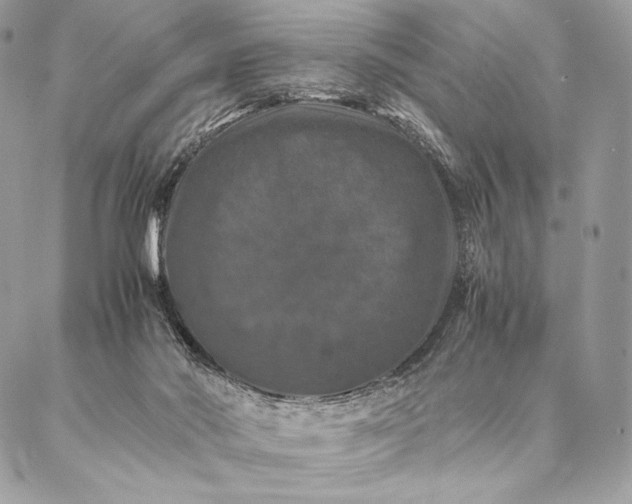 X0000087020022200704301325