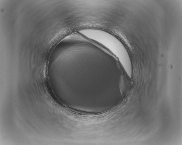 X0000087020023200704301325