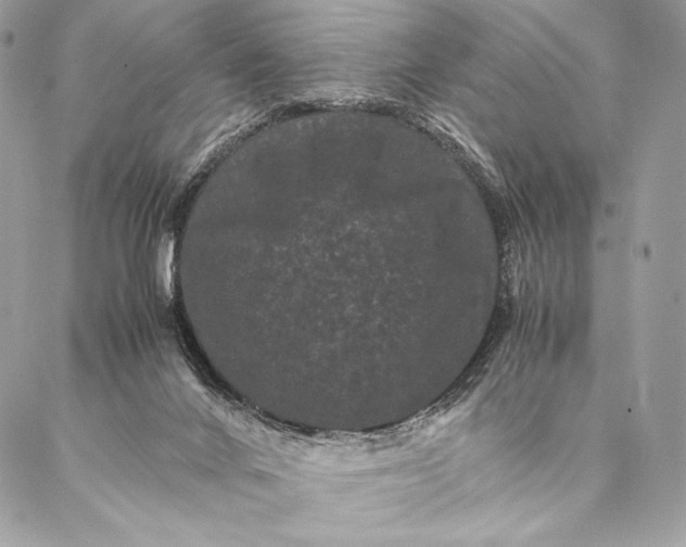 X0000087020024200704301325