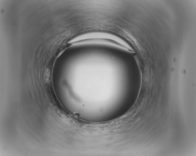 X0000087020025200704301325