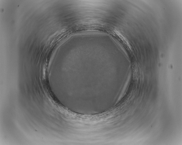 X0000087020026200704301325