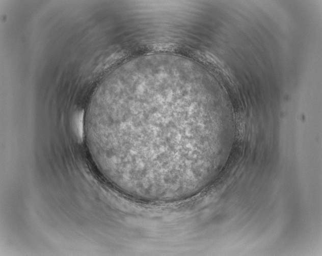 X0000087020028200704301325