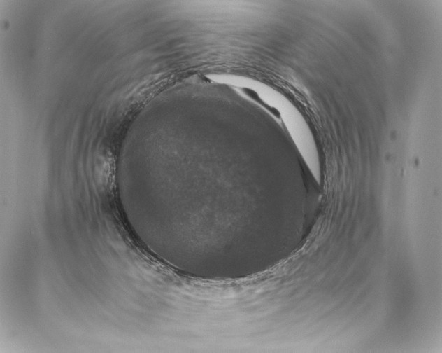 X0000087020029200704301325