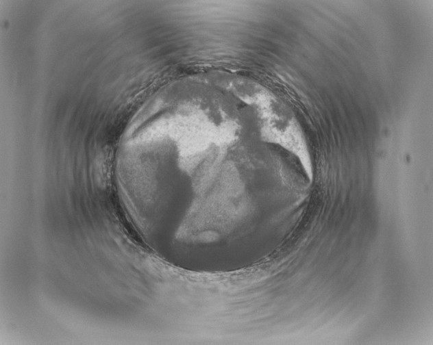 X0000087020030200704301325